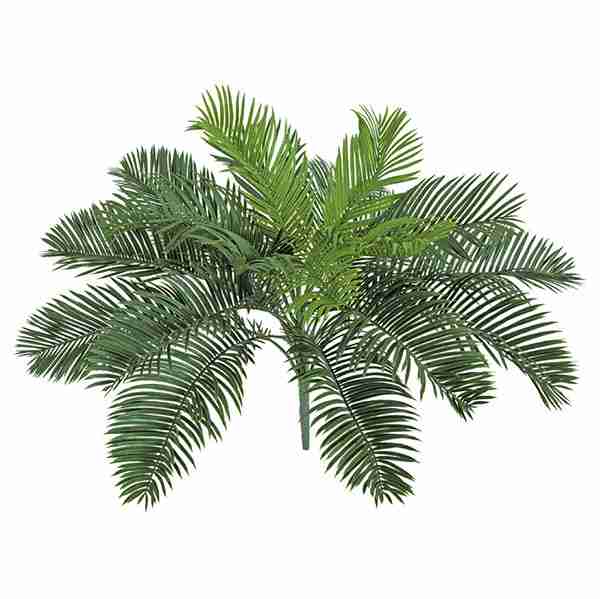 16.5 Inch L x 23 Inch W Polyblend Outdoor Cycas Palm Bush