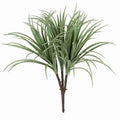 28 Inch Liriope Bush x 3 | Cream/Green