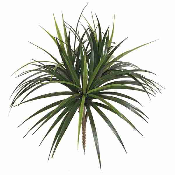 28 Inch Outdoor Liriope Bush x 3 | Green