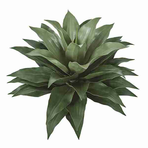 28" Deluxe Outdoor Agave Cactus Plant