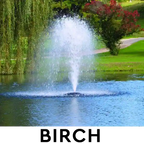 Kasco 8400 2 HP Lake Fountain - Birch spray pattern