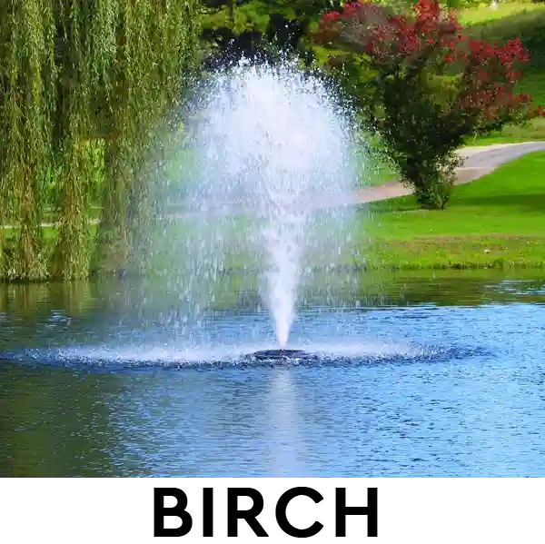 Kasco 8400 2 HP Lake Fountain - Birch spray pattern