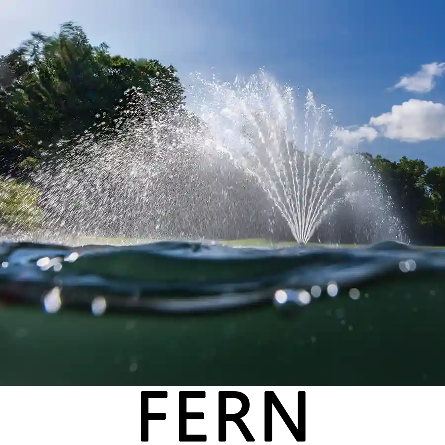 Kasco 8400 2 HP Lake Fountain - Fern spray pattern