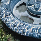 Frog and Turtle Basin