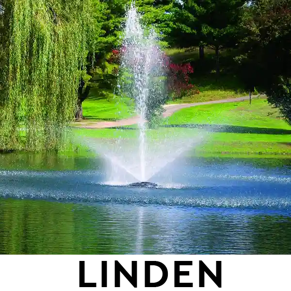 Kasco 8400 2 HP Lake Fountain - Linden spray pattern