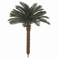 Polyblend Outdoor Cycas Palm Trees x 36 Fronds on Synthetic Aloe Trunks