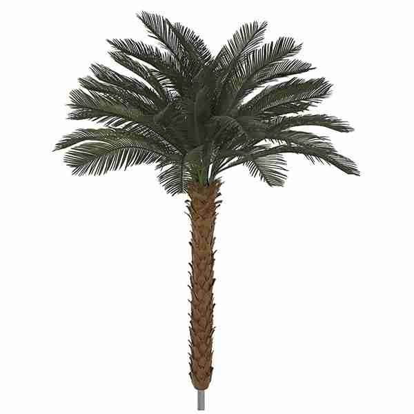 Polyblend Outdoor Cycas Palm Trees x 36 Fronds on Synthetic Aloe Trunks
