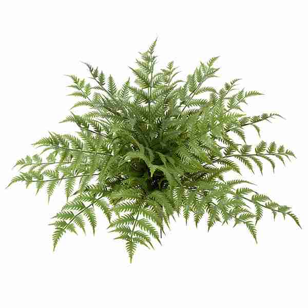 Polyblend® 27.5 Inch Outdoor Fade Resistant Woodwardia Fern