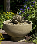 Campania Smithsonian Lotus