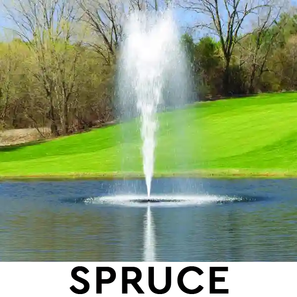 Kasco 3.1JF 3 HP Lake Fountain - Spruce spray pattern