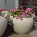 Outdoor Busbridge Planter - 15"