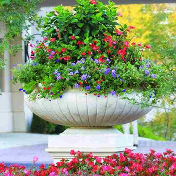 Outdoor Douglass Planter - 60"
