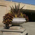 Outdoor Douglass Planter - 32"