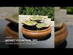 Henri Monet Fountain