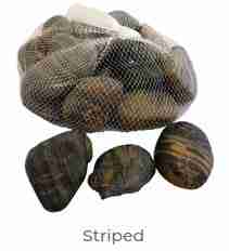Striped stone