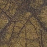 Rainforest Brown Featherstone surface