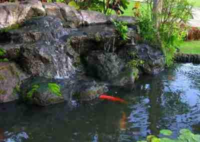 What’s That Smell? What to do About It