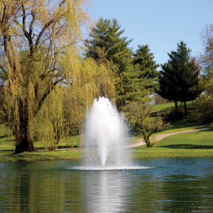 Kasco 3.1JF 3 HP Lake Fountain