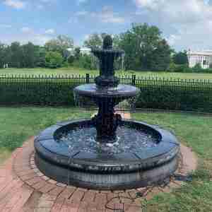 Fiore Pond Only (Black or Gray)