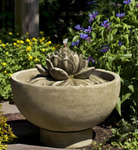 Campania Smithsonian Lotus