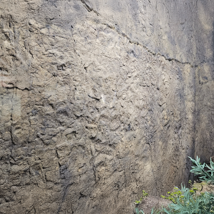 Rocky Rock Wall Panel 10' x 6'