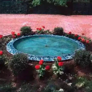 Frog and Turtle Basin