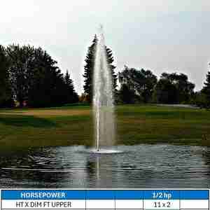 Aqua Master Double Eagle Lake Fountain Decorative Series