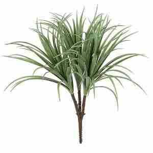 28 Inch Liriope Bush x 3 | Cream/Green