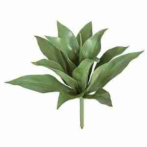 28 Inch Outdoor Agave Americana Cactus Plant