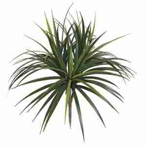 28 Inch Outdoor Liriope Bush x 3 | Green