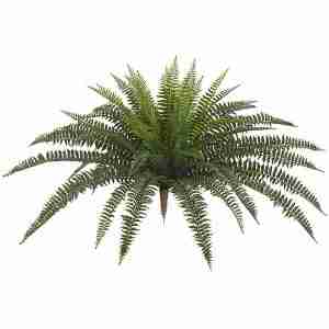 Polyblend® 30 Inch Outdoor Boston Fern