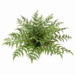 Polyblend® 27.5 Inch Outdoor Fade Resistant Woodwardia Fern